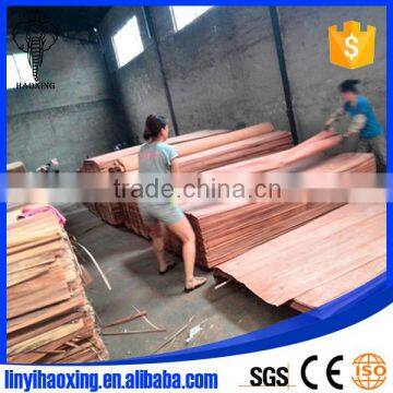 0.30mm up Keruing Face Veneer Prices With no Tolerance to India Market photo-4