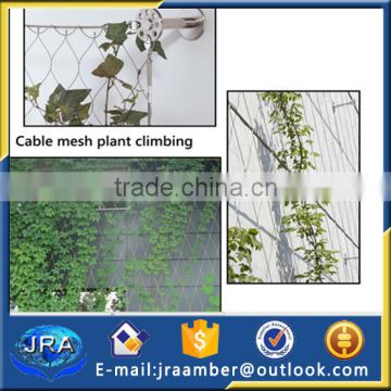 Stainless Steel Wire Rope Mesh for Green Wall System