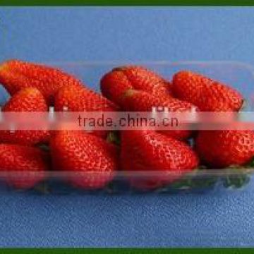 fresh fruit tray/plastic trays for fresh fruit and vegetables/plastic fresh fruits tray with high quality