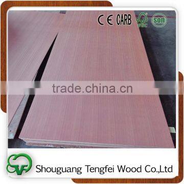 ash fancy plywood price