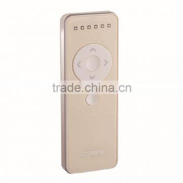 RAEX Remote Control YR2116