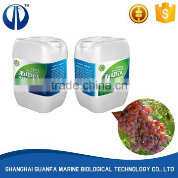 Guaranteed quality proper price cauliflower fertilizer