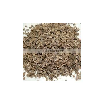 100% Dill Seed Oil Pure