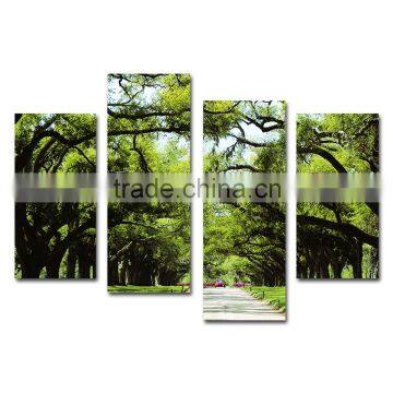 Scene Picture park trees Canvas Print Decor Art for Wall