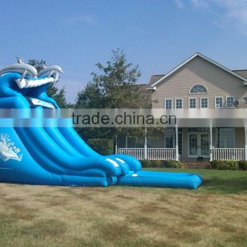 inflatable dolphin water slide for hire