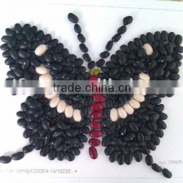 BlackBean( 2011 crop, Heilongjiang origin, HPS)