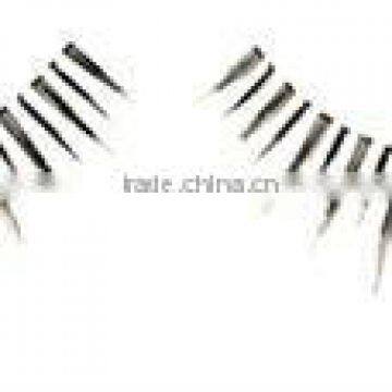 False Eyelash