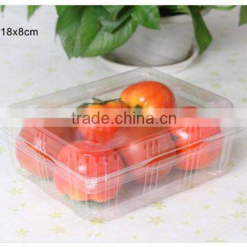 1kg Capacity Disposable Clear Plastic Container Box for Tomato Vegetable