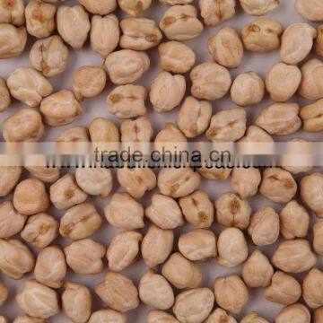 Buy 12mm Chickpeas from india