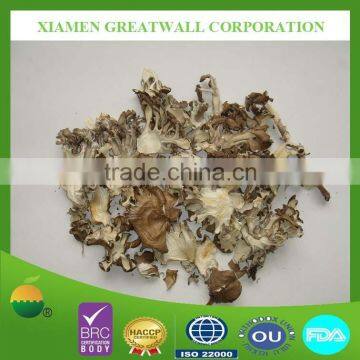 Dried Maitake Mushroom