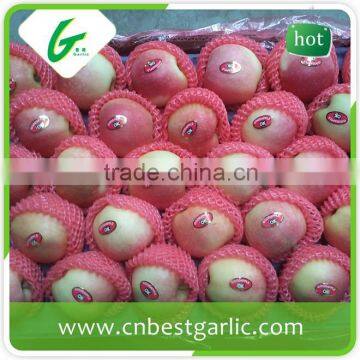 Class 1 fresh crispy royal fruit gala apple