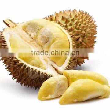 Frozen Mornthong Durian with seed