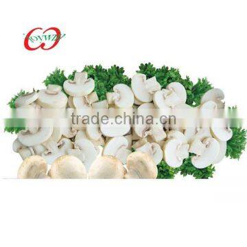 2014 fresh canned mushroom in brine top quality whole ,PNS ,Slices market price