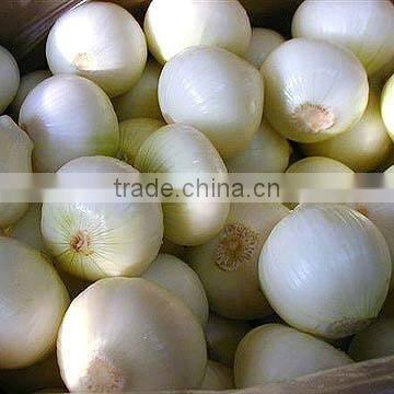 Fresh onion
