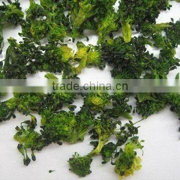 dehydrated broccoli 2012