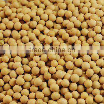 Grain Cleaning Machine/soybean Washing Machine photo-4