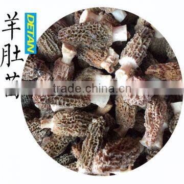 Dry Stemless Morchella Esculenta for Buyers photo-2