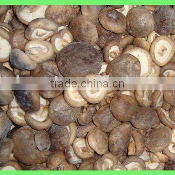 frozen shiitake