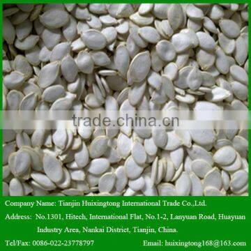 Sale China Raw Shine skin Pumpkin Seeds with Great Taste