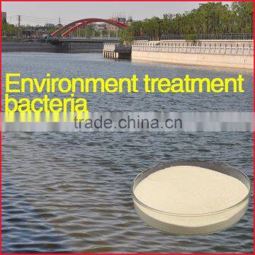 Specialized Bacterium for Wastewater Treatment , Free Trial Order