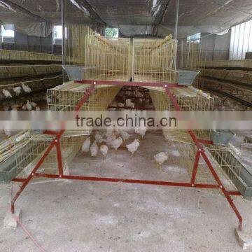 Automatic Poultry Layer Cage, 90 type Chicken House