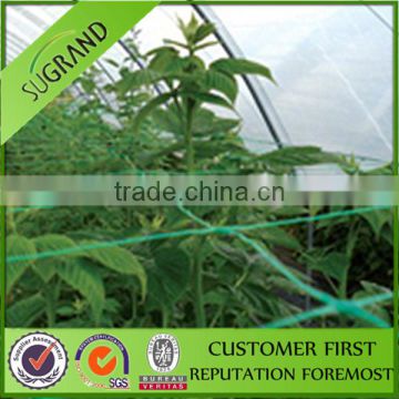 Hot!!! climbing plant support mesh