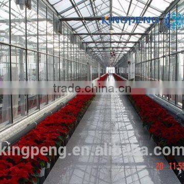 Multi Span Polycarbonate Sheet Greenhouse photo-4