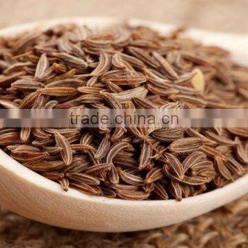 Cumin Seeds photo-3