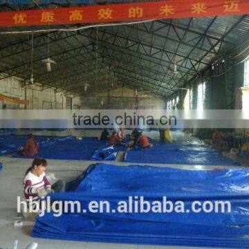 Fire Retardant Tarpaulin for Folding Car Shelter,car Parking Canopy photo-6