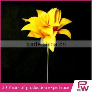 Wholesale Large Indoor Tropical Plants