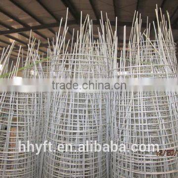 3mm Electro-galvaized Tomato Trellis High Quality China Supplier on Sale photo-2