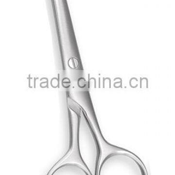 Hair Cutting Scissors RB-281