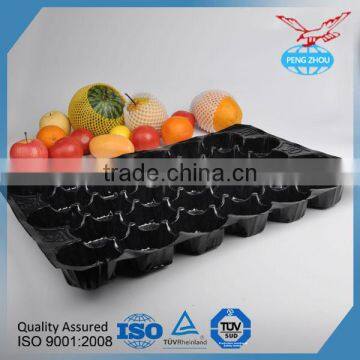 Disposable Food Tray With Lid China Supplier PP Fruit Tray photo-6