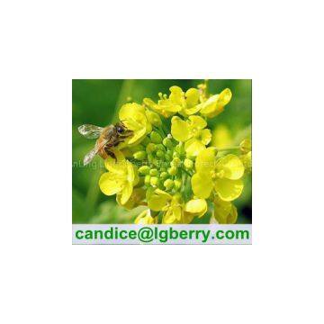 Natural Rape Flower Bee Pollen