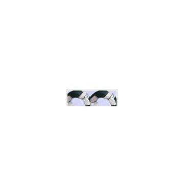 PVC coated wire, bright iron wire, coil wire, fine iron wire