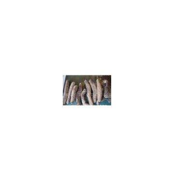 sell sea cucumber