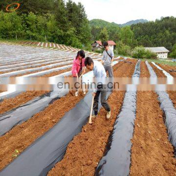 25 Micron Reflective Black And Silver Mulching Film For Tomato