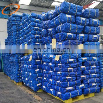 Sunproof Geomembrane Pond Liner 230gsm PE Tarpaulin Cover Blue Color