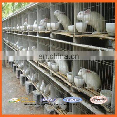 High Quality Galvanized Welded Rabbit Cage Wire Mesh/High Quality Rabbit Cage/Rabbit Farming Cage photo-2