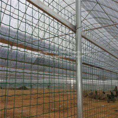 Holland Wire Mesh in Low Carbon Steel Wire PVC Coated