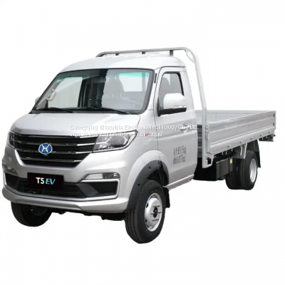Shineray Auto EV Mini Cargo Truck Drive Electric Truck Pure battery range EV Truck With Miles New Car