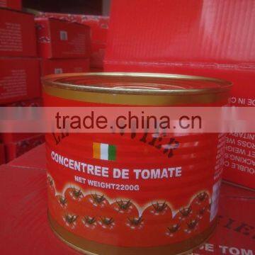 2200g*6tins stored good quality canned tomato paste,28-30% brix,with normal lid