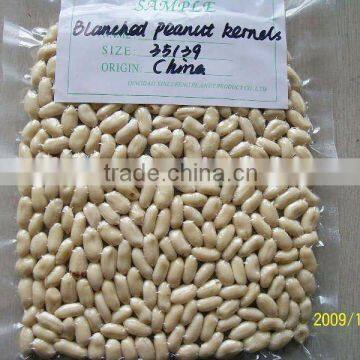 Roasted Blanched Peanuts