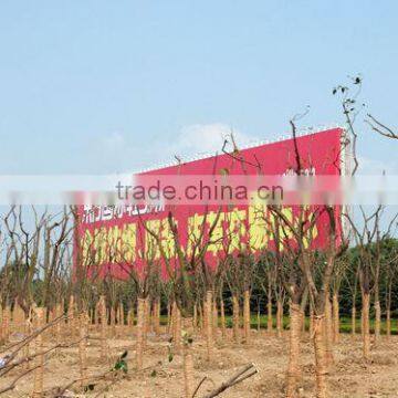 steel structure for advertising board