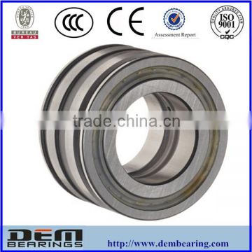 double row roller bearing SL045024PP