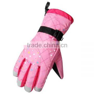 2016 Basic Style Ski Glove With Good Material Working Gloves Leather Gloves Water Proof photo-6