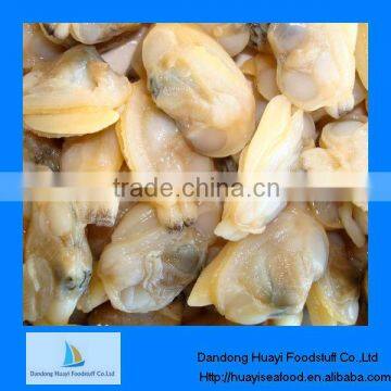 frozen boiled clam supplier