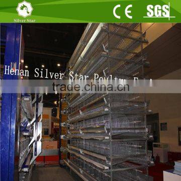 Commercial h type chicken layer coops design automatic chicken egg laying cage