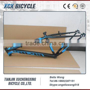 Giant Steel Mountain Bike Frame