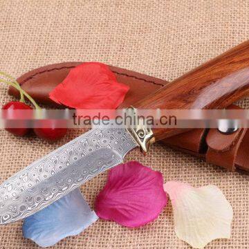 OEM Damascus Steel Blade Material Fixed beautiful hunting knives